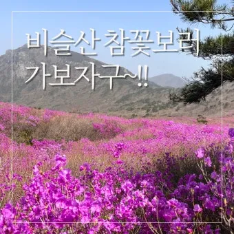 비슬산 참꽃축제 등산코스 맛집_2