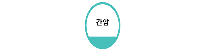  간암 초기증상과 생존율 알아보기