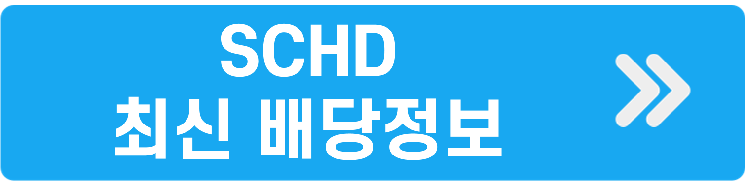 SCHD시킹알파이동
