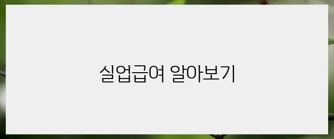실업급여 조건을 충족하는 방법: 팁과 요령