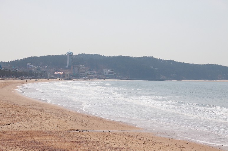 천리포 수목원 태안여행코스 놀거리 먹거리 가득 8