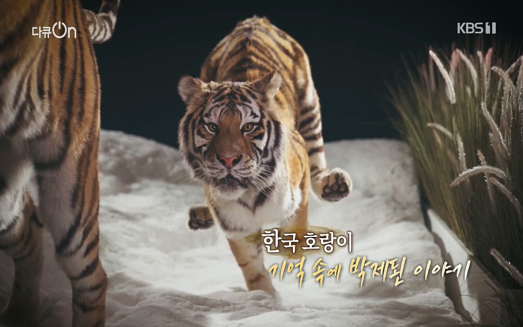 다큐 On.E150.220729p.H264-F1RST.mp4_20220730_162059.830.jpg