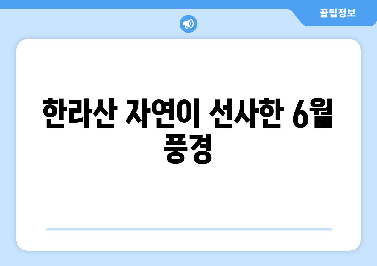 한라산 자연이 선사한 6월 풍경