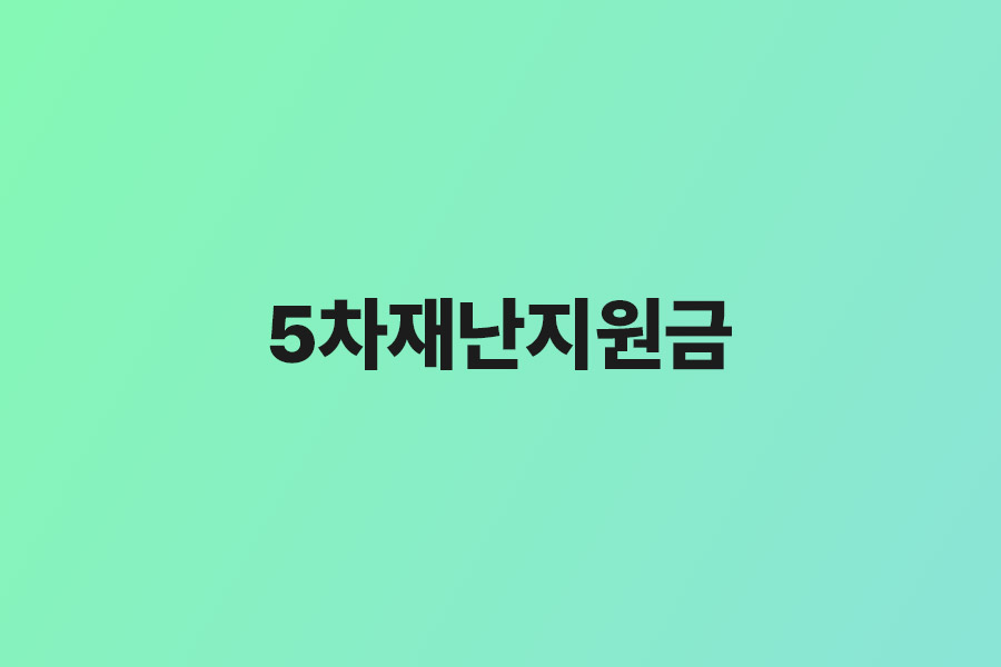 5차 재난지원금