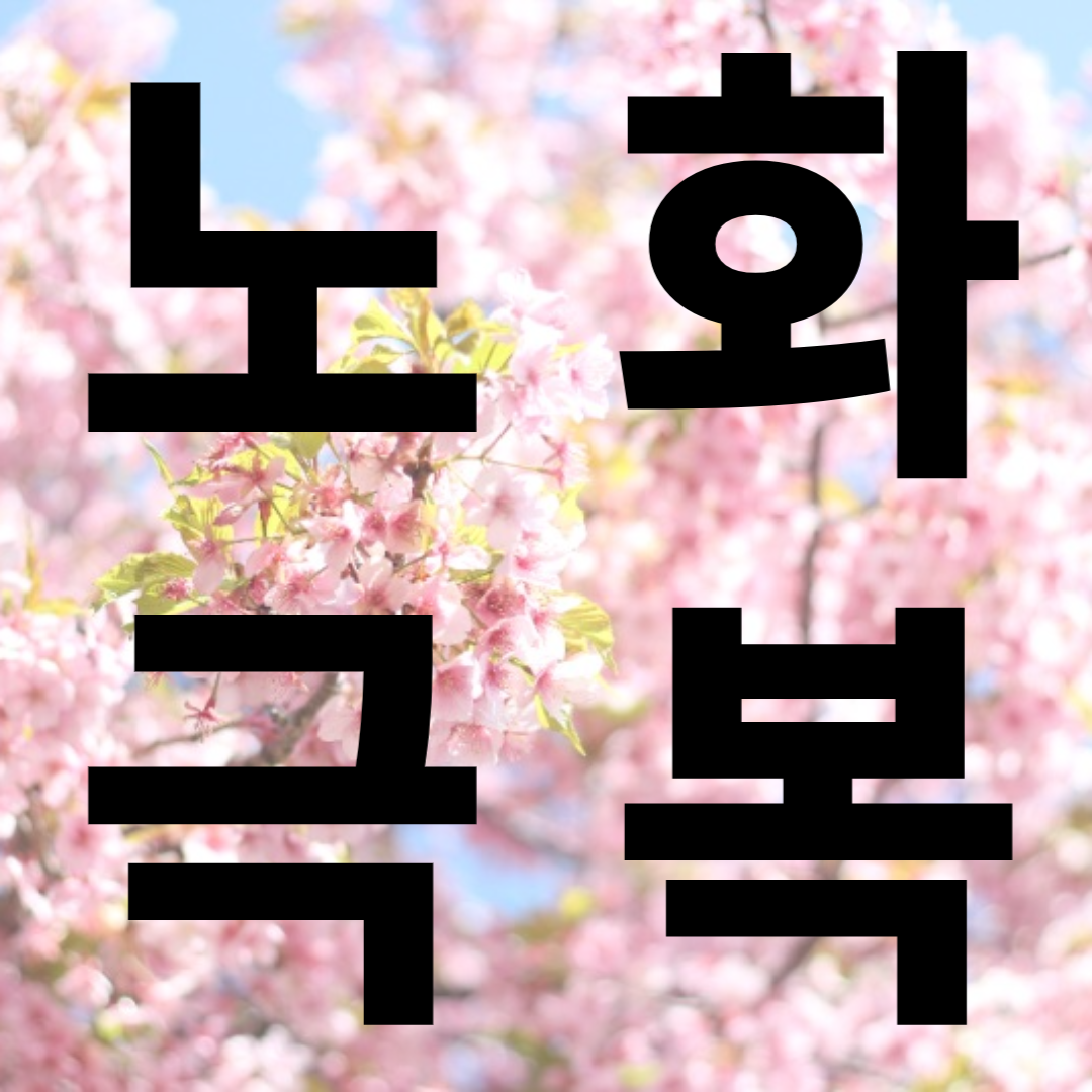 노화