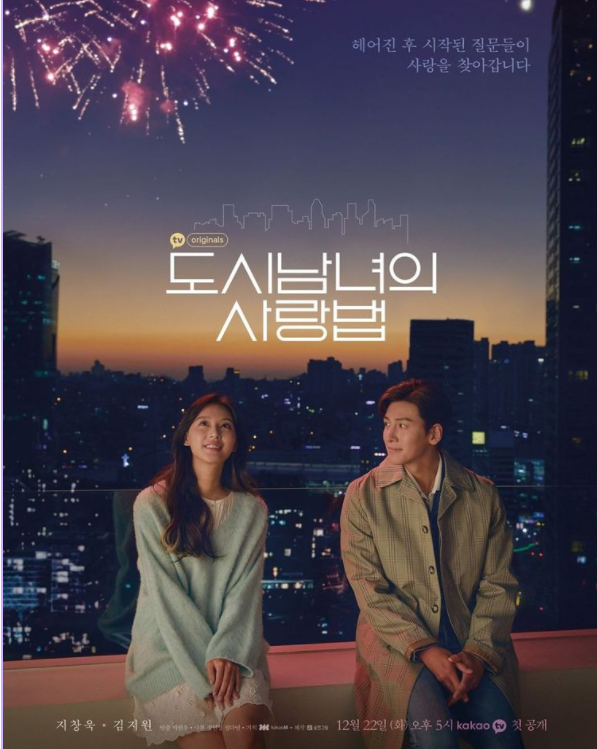  도시남녀의 사랑법 OST, 이수현 - Love and Pain