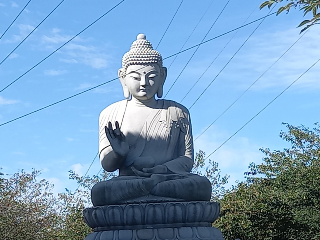 img.jpg