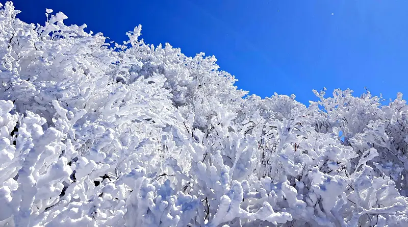 지리산 설경 상고대