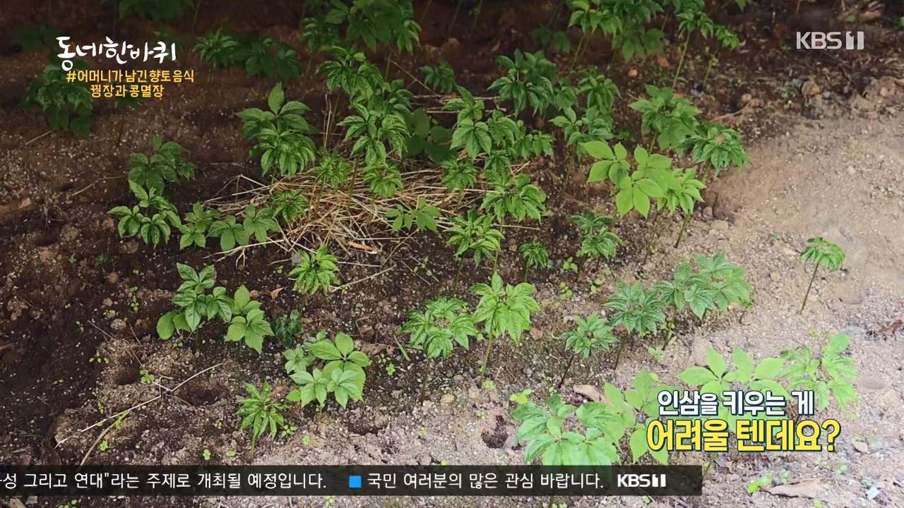 동네 한 바퀴.E275.240526p-NEXT.mp4_20240526_162431.191.jpg