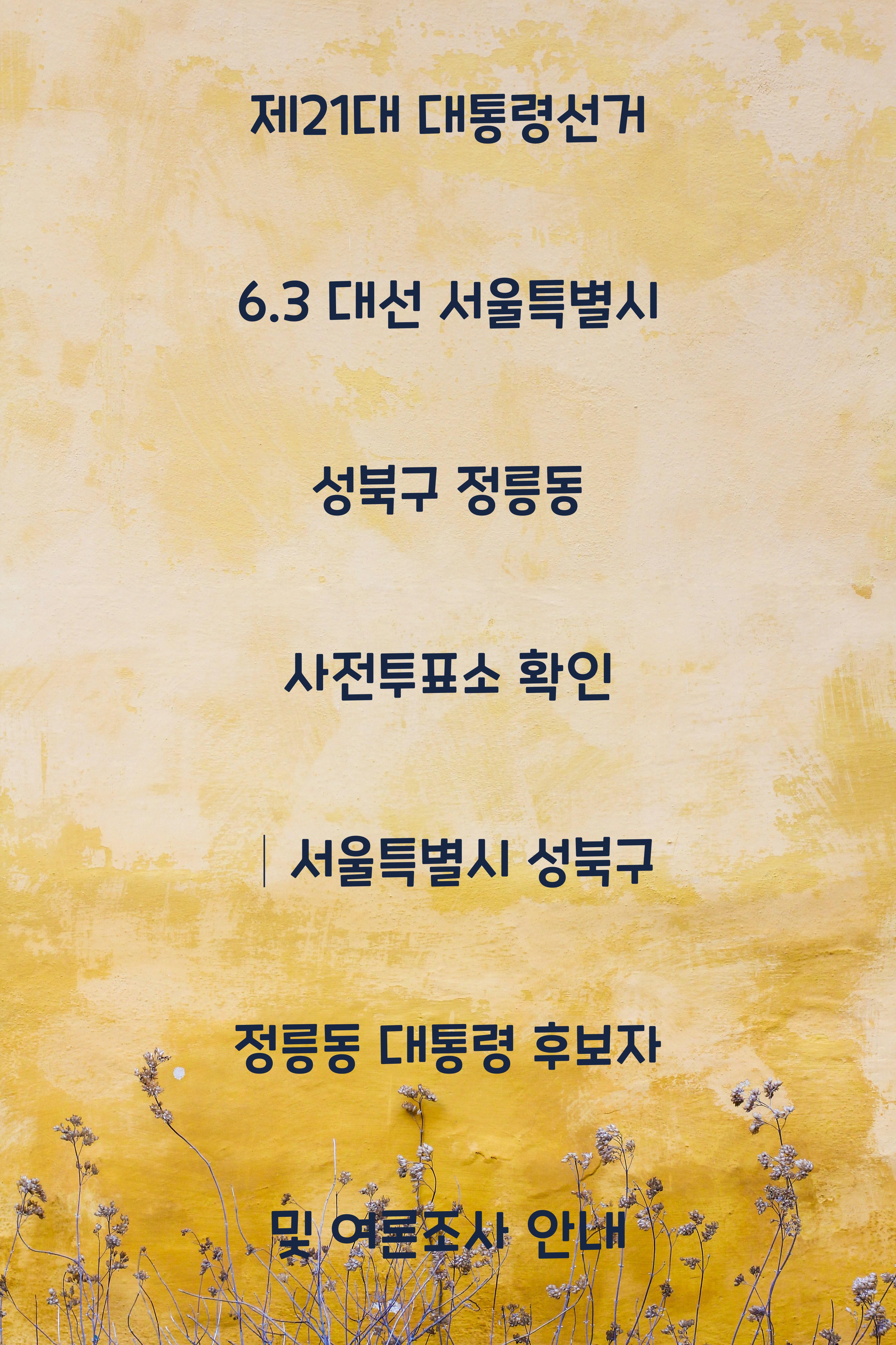 제21대 대통령선거 6.3 대선 서울특별시 성북구 정릉동 사전투표소 안내 │서울특별시 성북구 정릉동 대통령 후보자 및 여론조사 확인