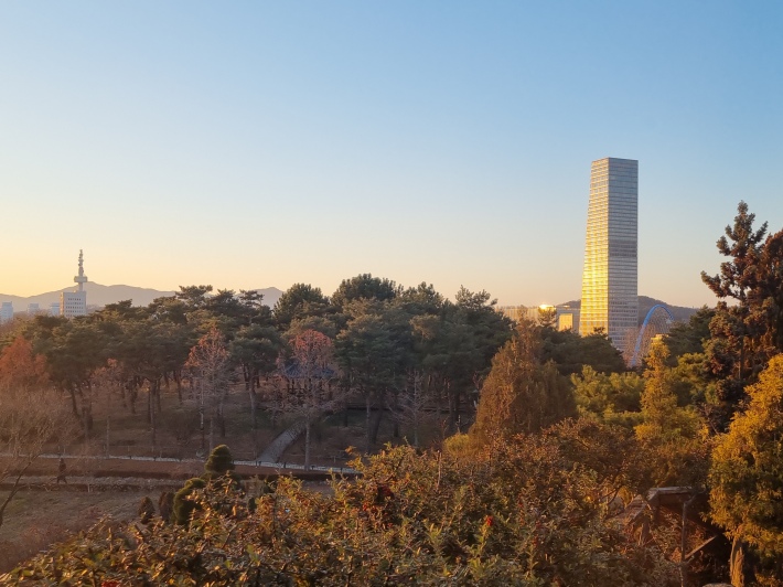 전망대에서 바라 본 빌딩