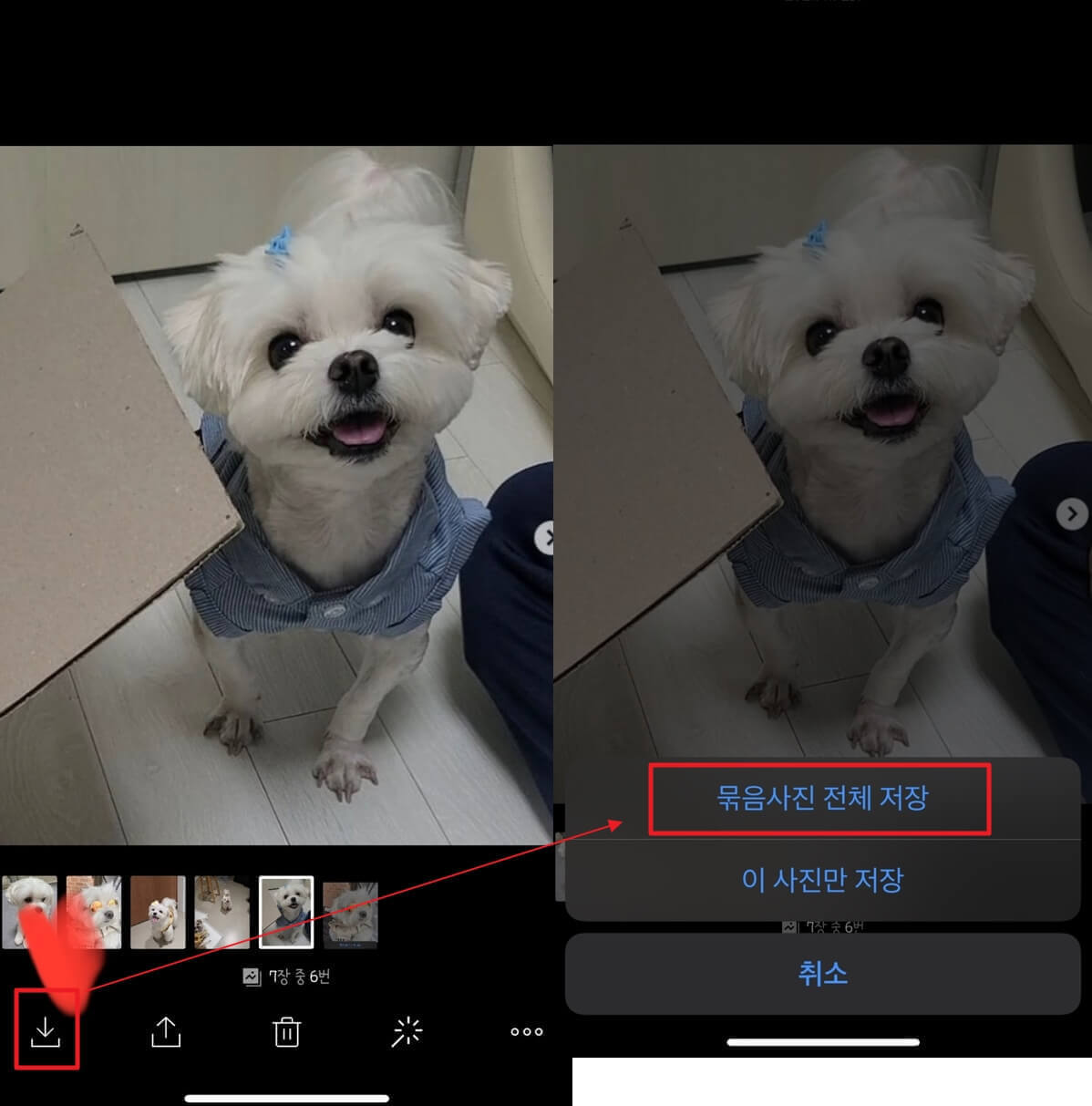 카톡 묶음사진 받았을 때 저장방법