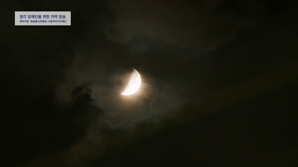 일요 특선 다큐멘터리.E315.230716p.H264-F1RST.mp4_20230717_210607.072.jpg