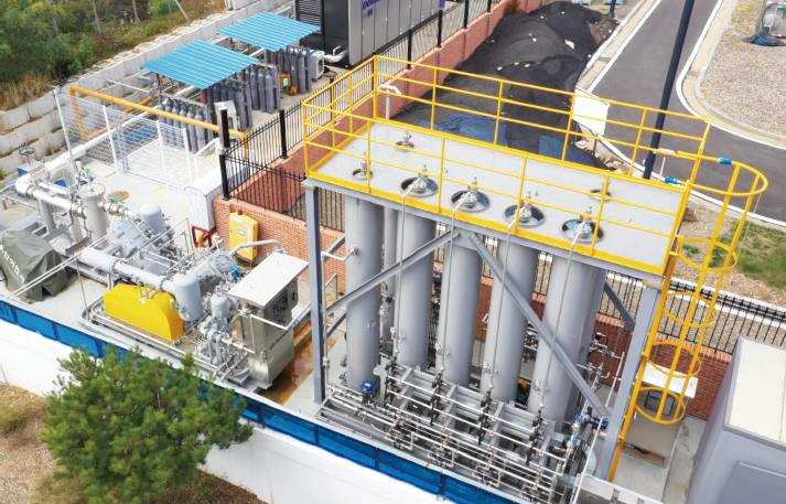 hydrogen plant, electrolyzer, gas dryer, nitrogen psa