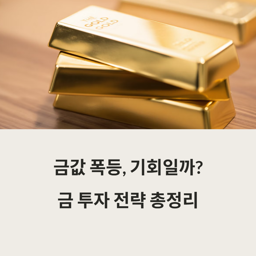 골드바-관련사진