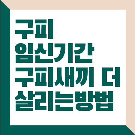 구피 임신기간