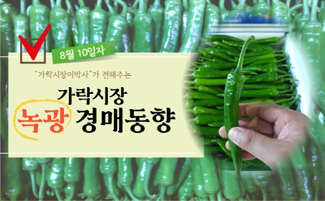  [경매사 일일보고] 8월 10일자 가락시장 녹광 경매동향을 살펴보겠습니다!