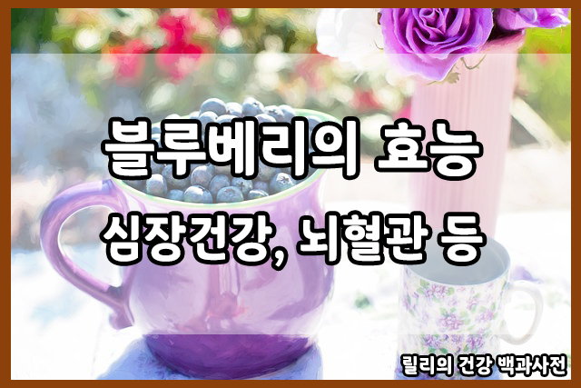 컵에 담긴 블루베리와 꽃병 사진