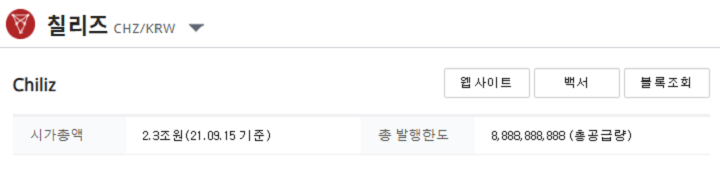 칠리즈-기본정보