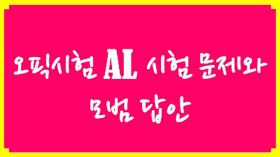 오픽모범답안
