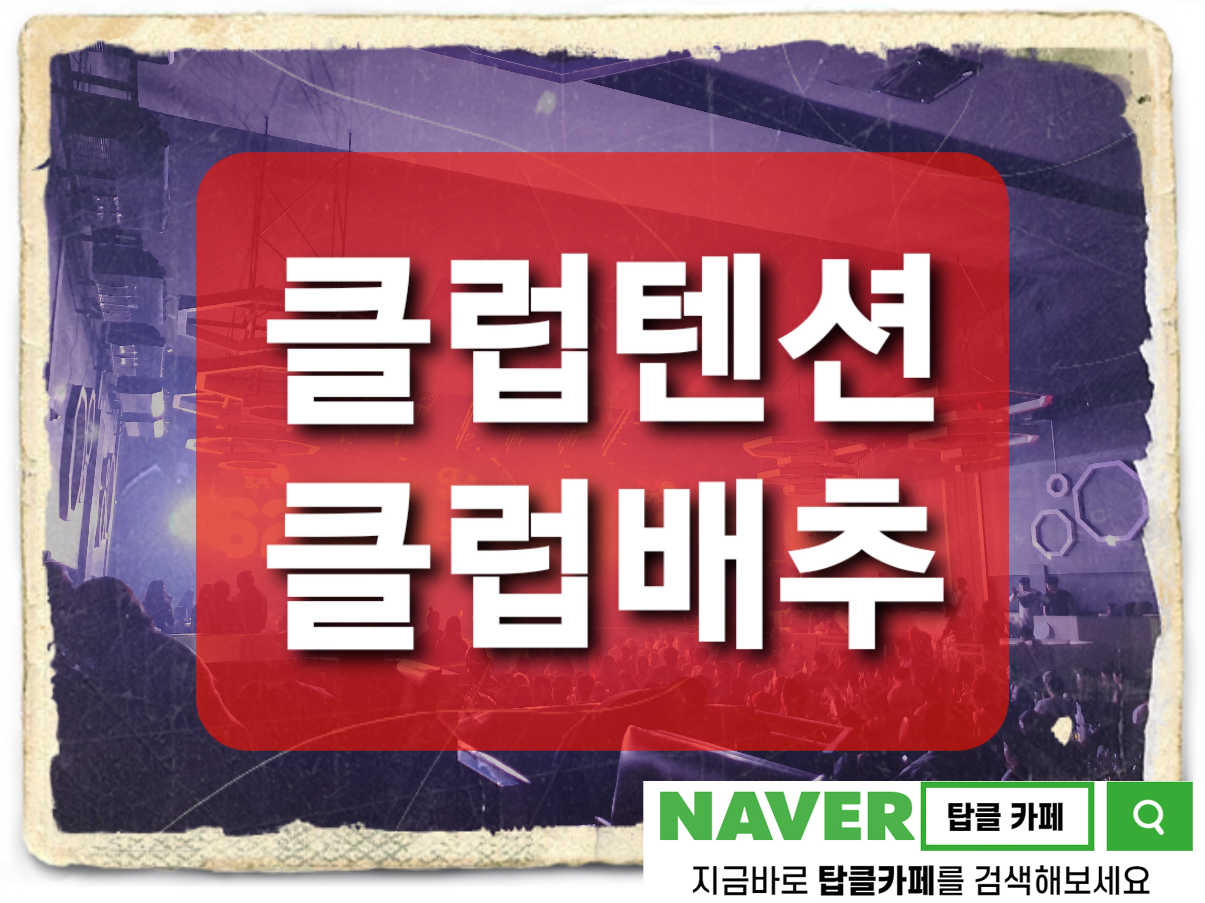  클럽 텐션의 클럽 배추로 새롭게 오픈 예정