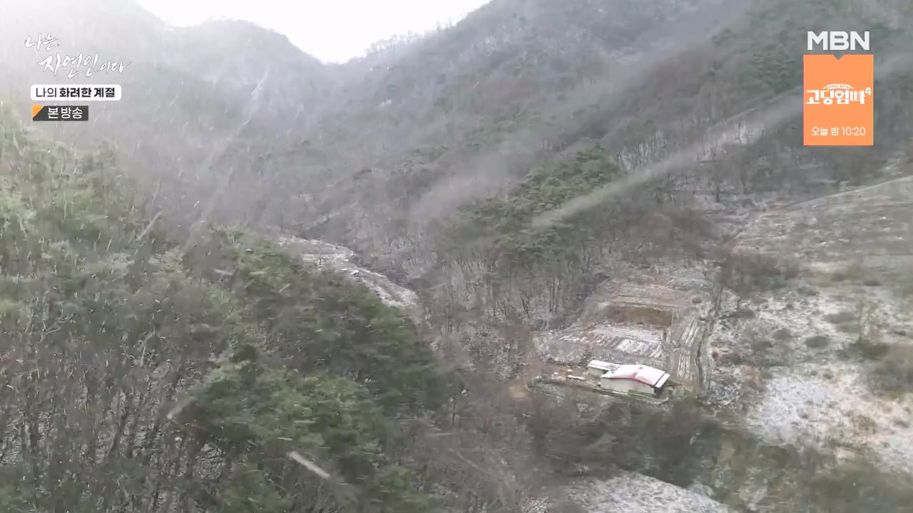 나는 자연인이다.E587.240104p-NEXT.mp4_20240104_195914.518.jpg