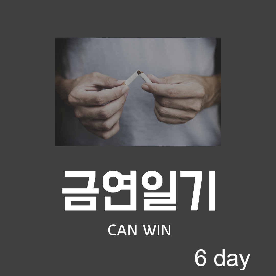  금연일기 6일차