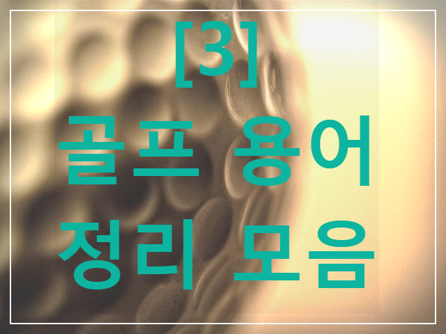 골프용어 정리모음 / OECD