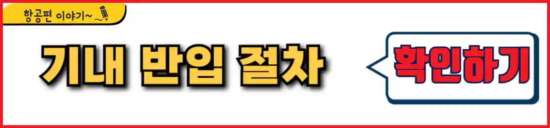 기내 반입 절차