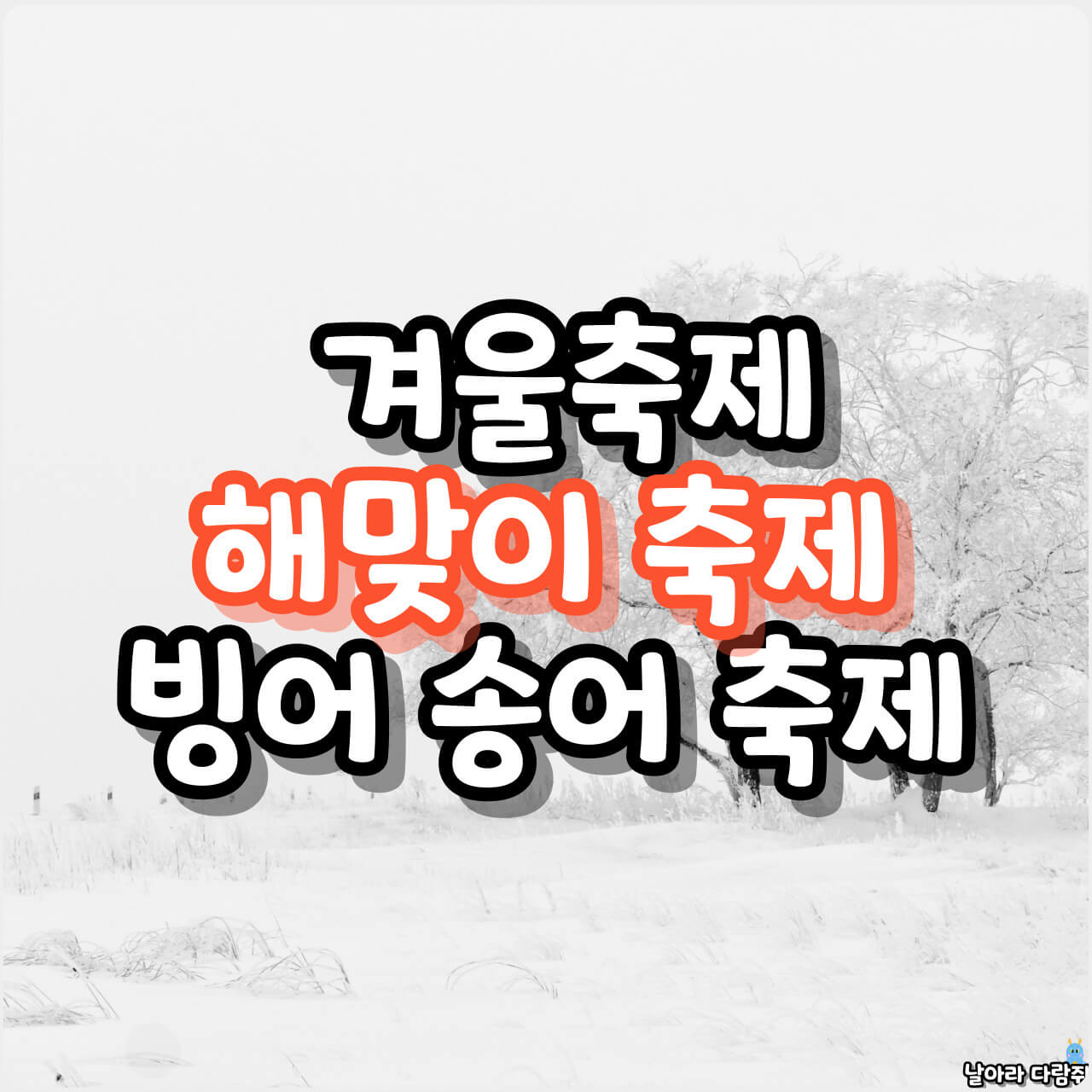 겨울 축제 정보