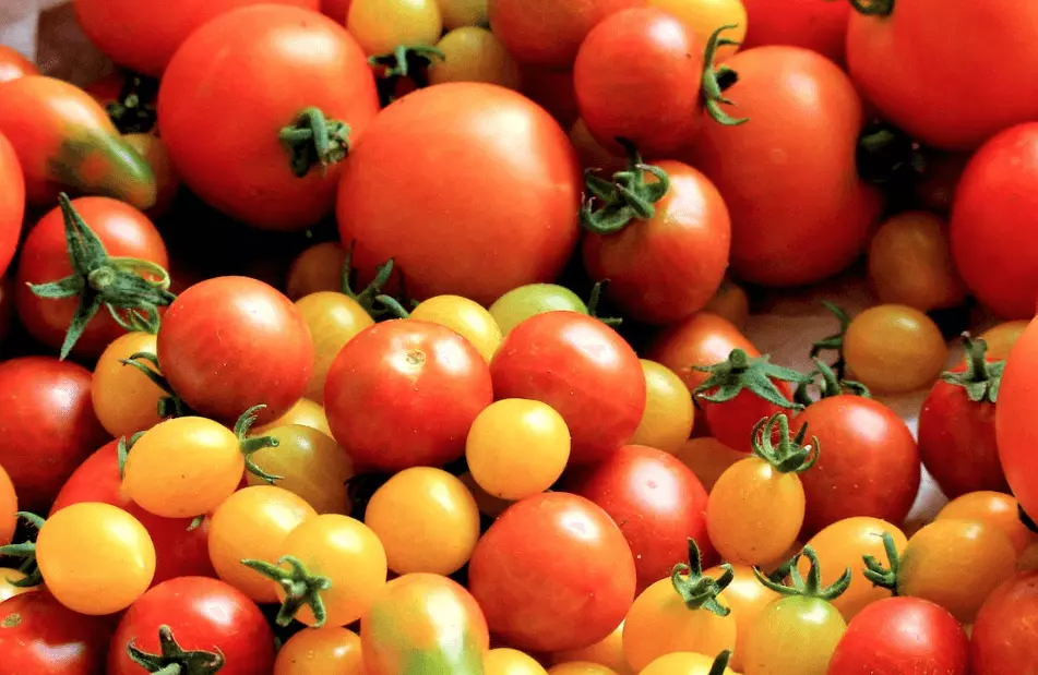 토마토 숙취해소