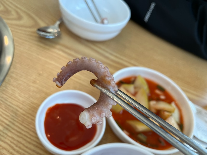 젓가락으로-집어-든-낙지-다리