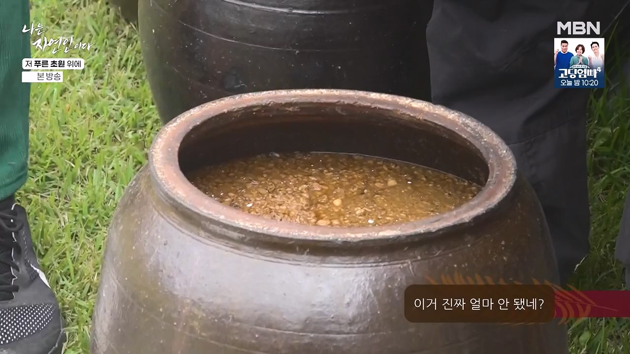 나는 자연인이다.E607.240530p-NEXT.mp4_20240530_200523.851.jpg