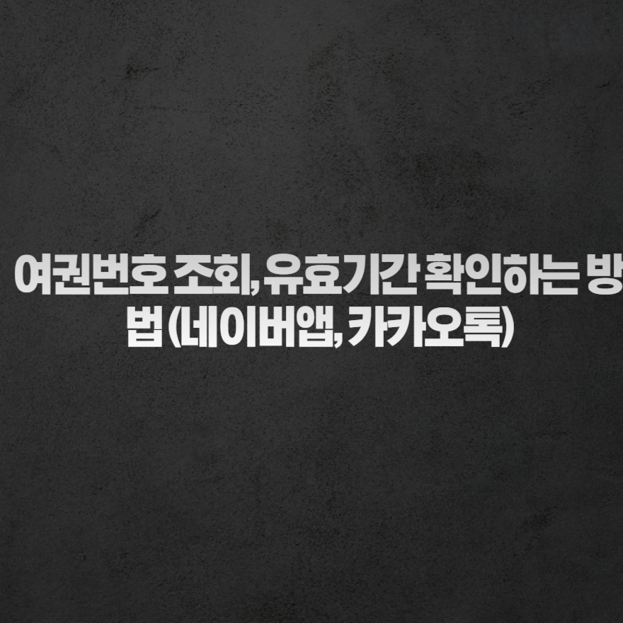 여권번호 조회, 유효기간 확인하는 방법 (네이버앱, 카카오톡) 여권번호 조회, 유효기간 확인하는 방법 (네이버앱, 카카오톡)
