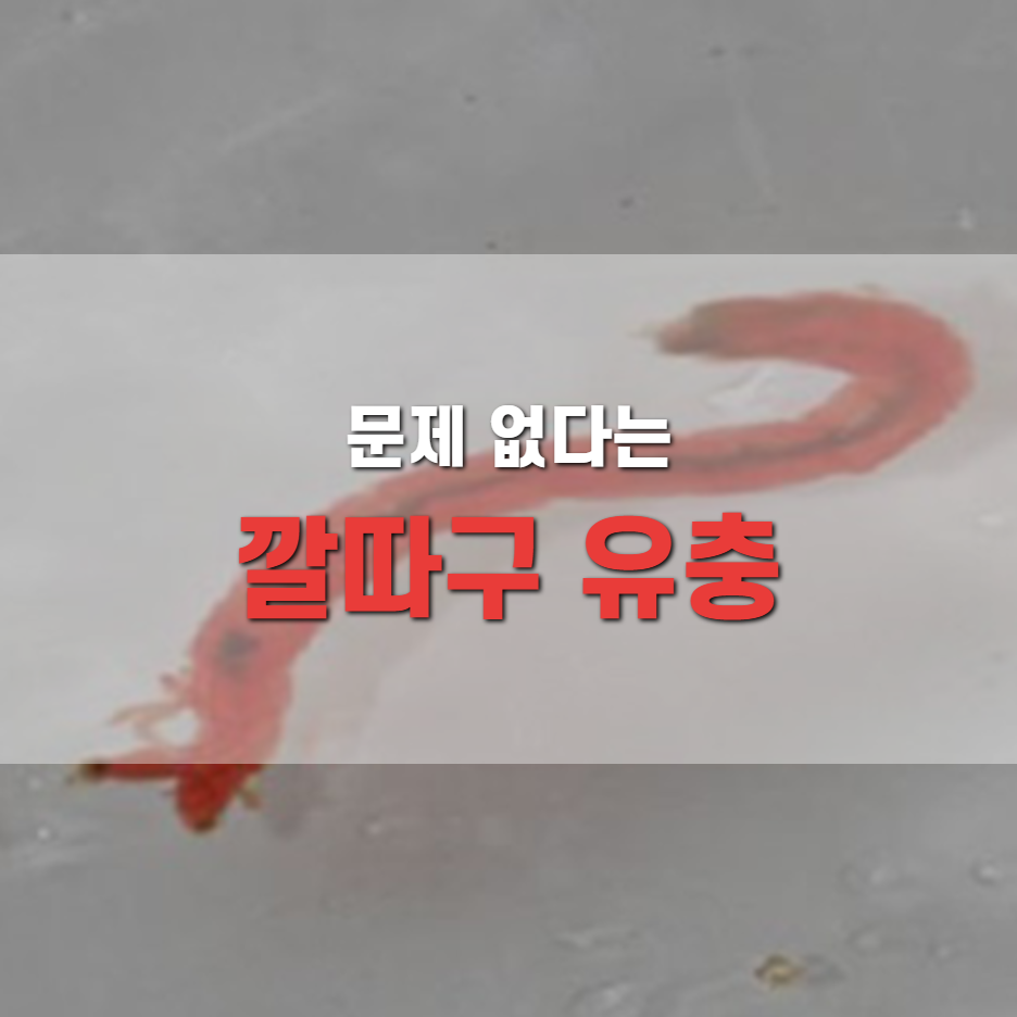  깔따구 유충