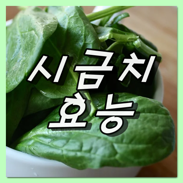 시금치효능