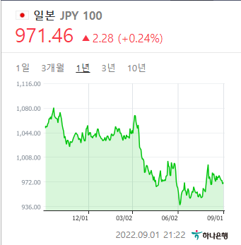  엔화 투자 수익률 공개?!