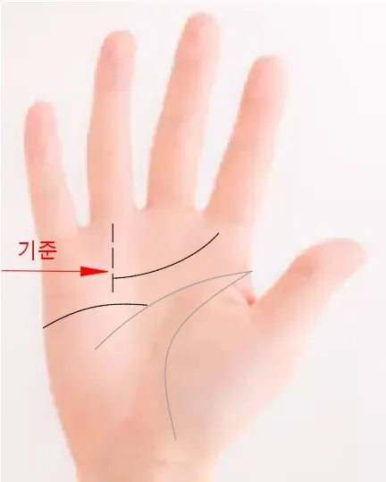 두개의 감정선5