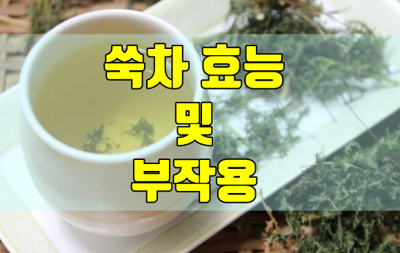  쑥차 효능 및 부작용