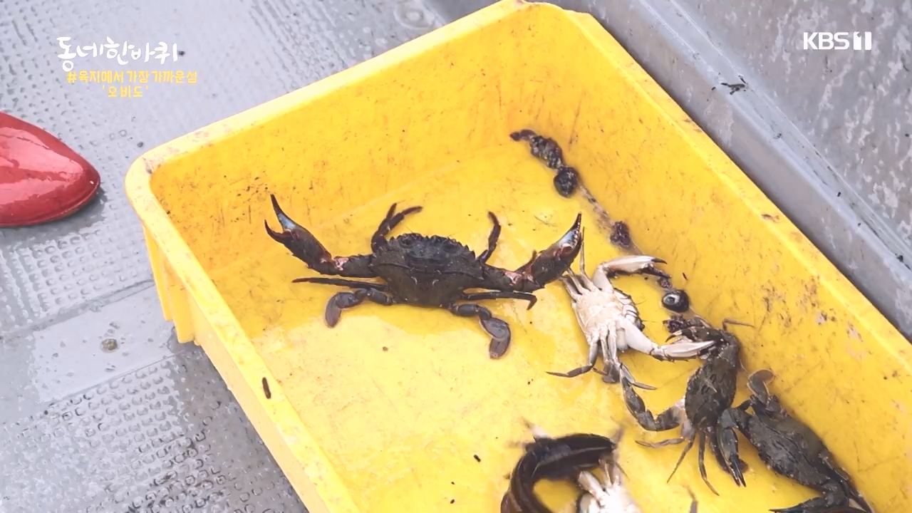 동네 한 바퀴.E243.231015p-NEXT.mp4_20231015_184200.404.jpg