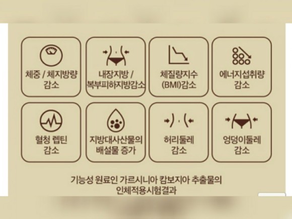 관리하자 뉴트리디 데이 카페 페네 다이어트 커피 아메리카노 맛 꾸준히 2