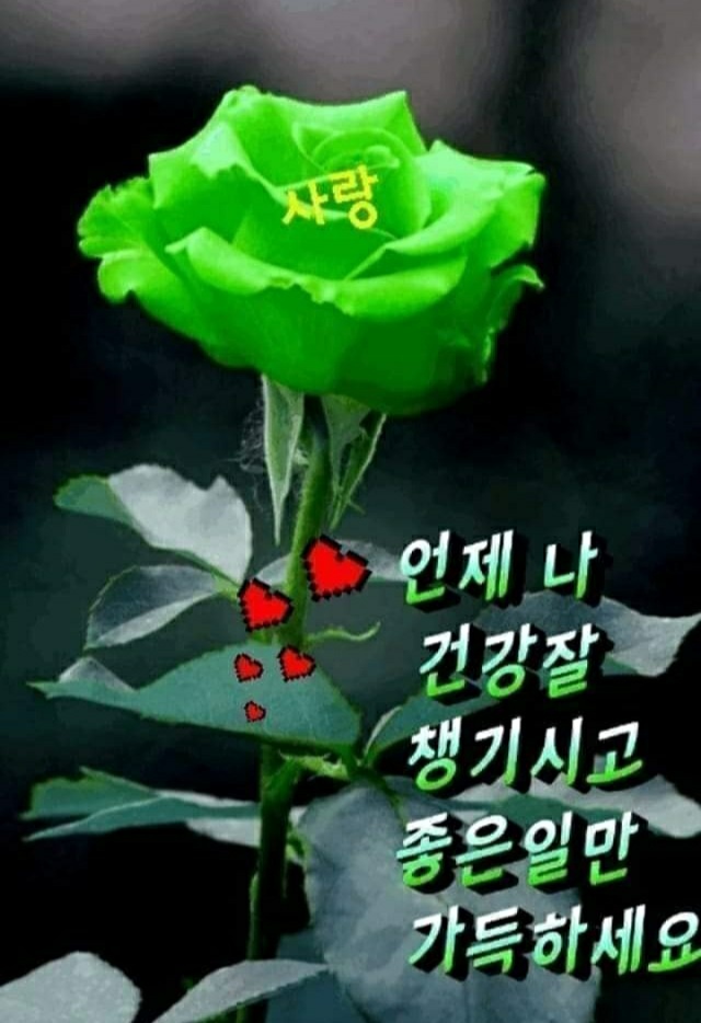  오늘의 좋은글 307번째 당신은 할 수 있다고 생각하면 할 수 있는 방법을 찾고 될 때까지 노력 해야 됩니다.