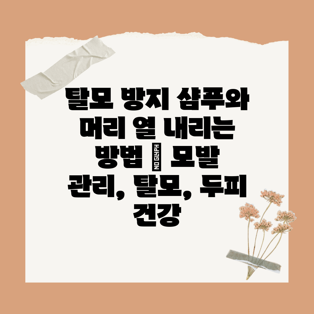 탈모 방지 샴푸와 머리 열 내리는 방법  모발 관리, 