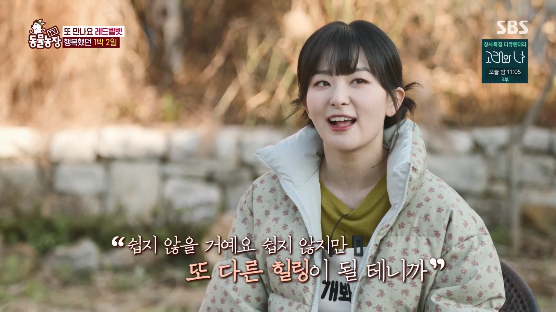 TV 동물농장.E1148.231203p.H264-F1RST.mp4_20231203_165658.903.jpg