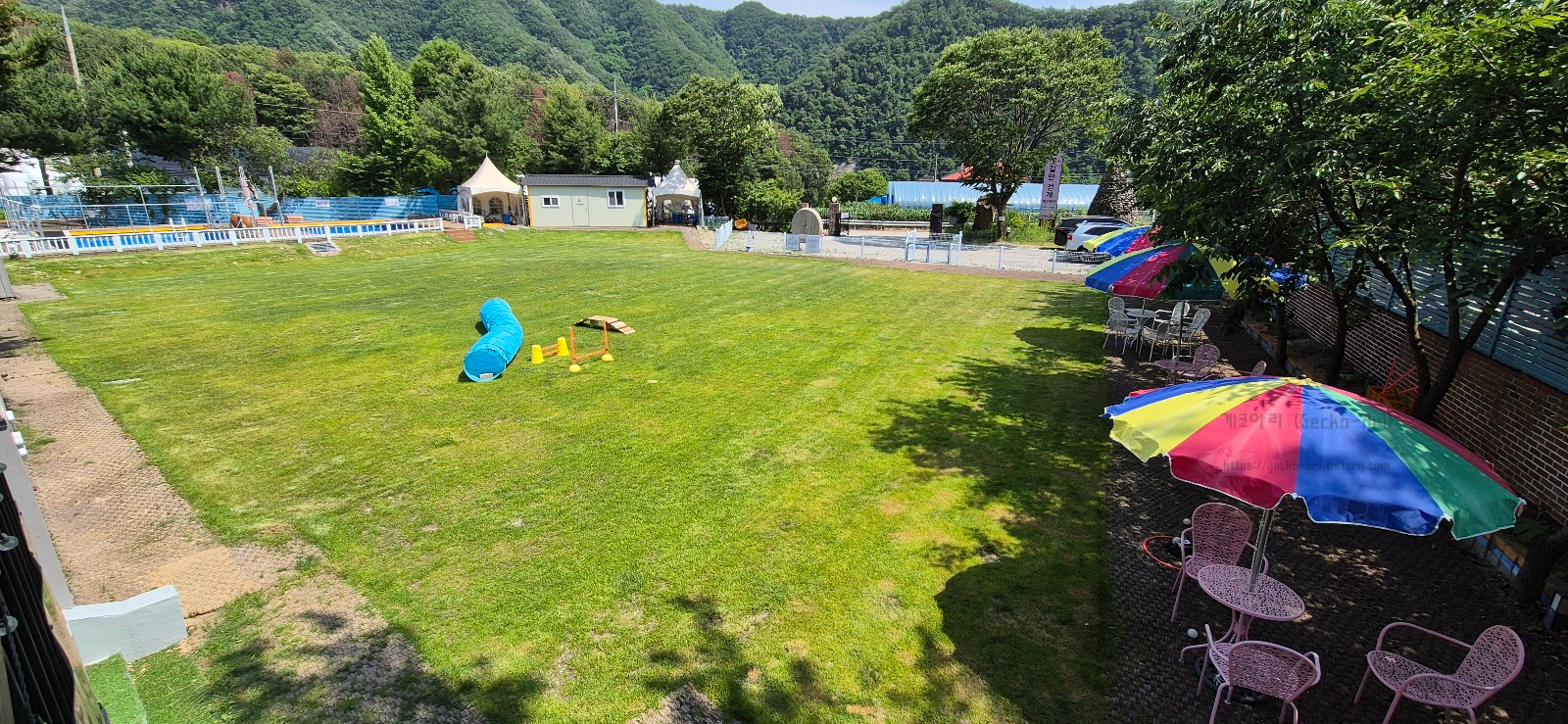 춘천 애견동반 펜션 꽃길만 걷개