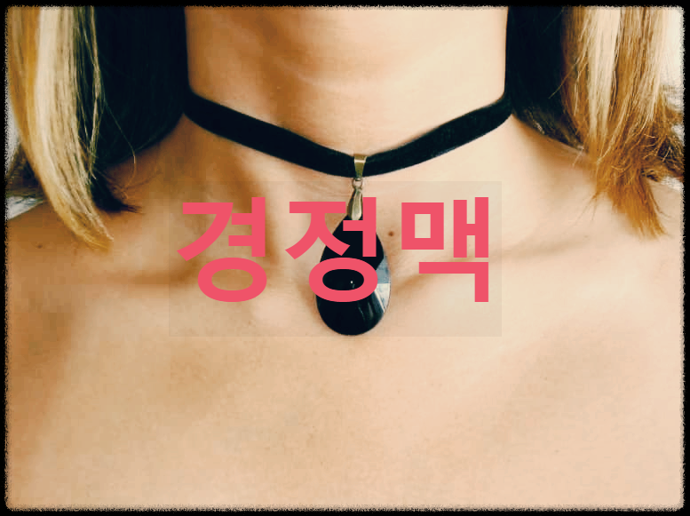  경정맥 : 뇌에서 오는 혈액이 합류하는 큰 정맥