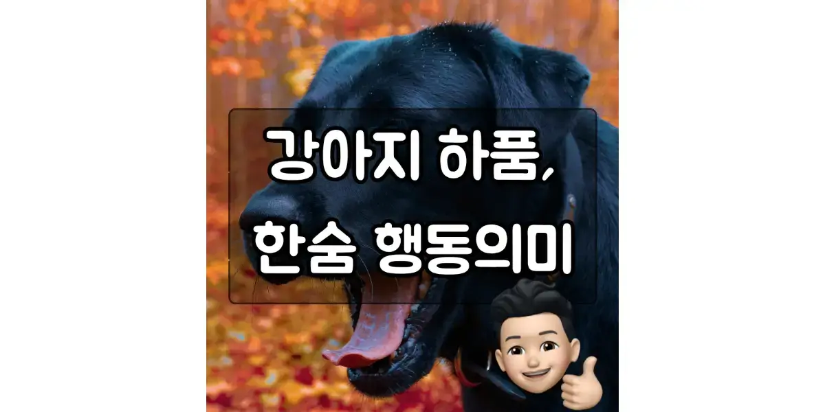  강아지 하품, 한숨 행동의 뜻이 궁금해요