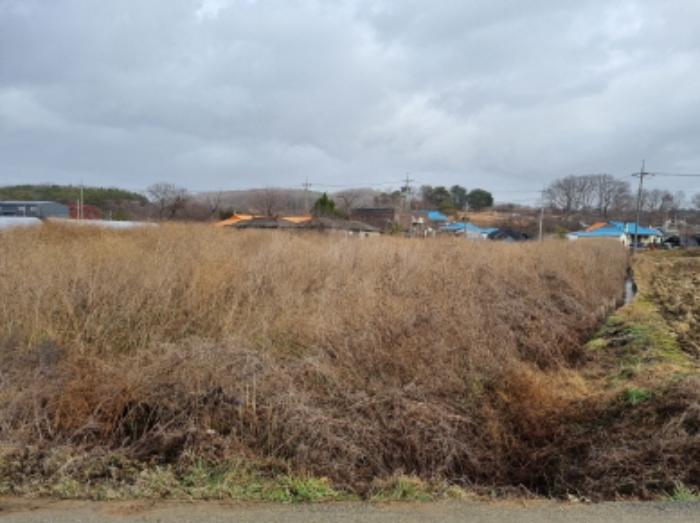 천안지원2022타경5948 본건 부동산 전경 사진