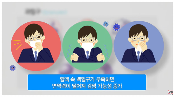 백혈구의 역할 백혈구의 기능