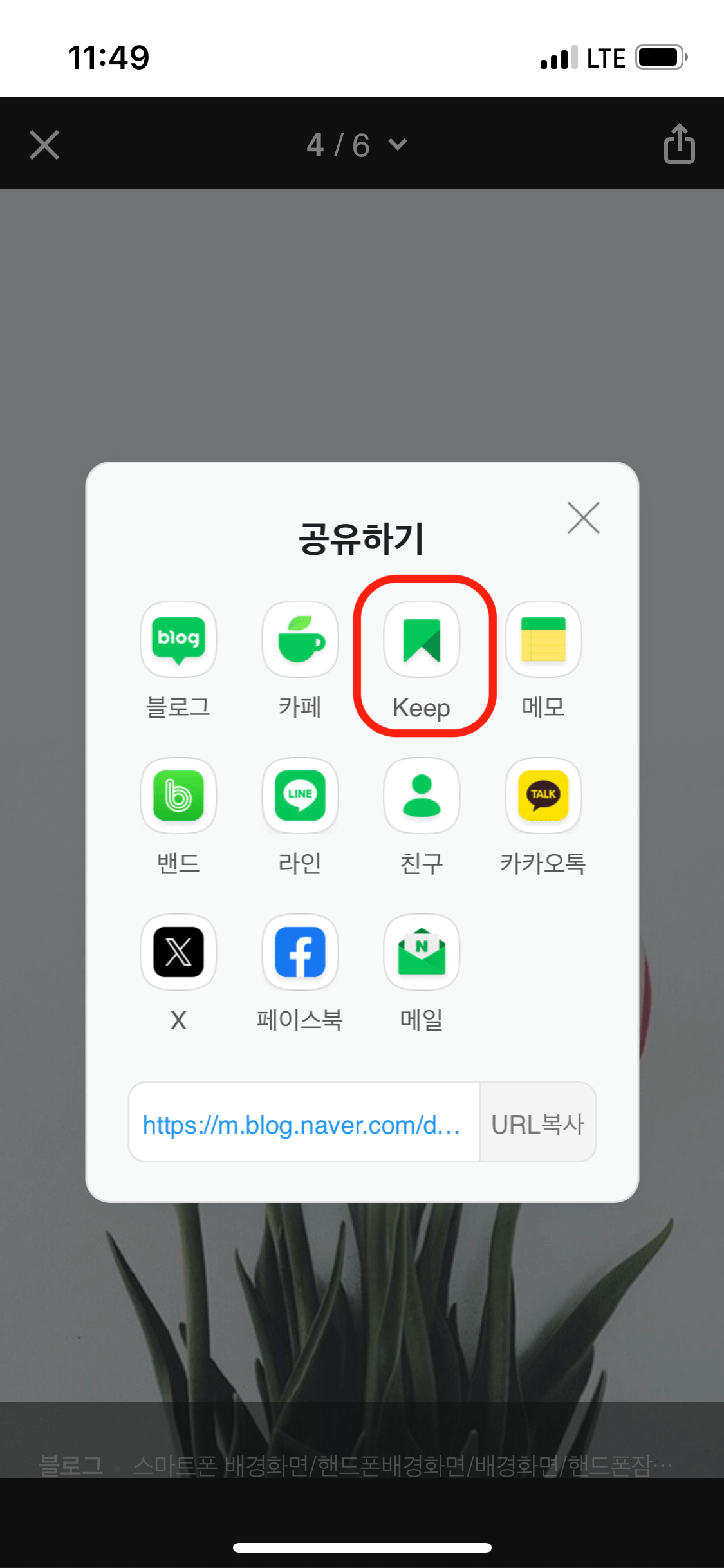 네이버킵 사진 저장